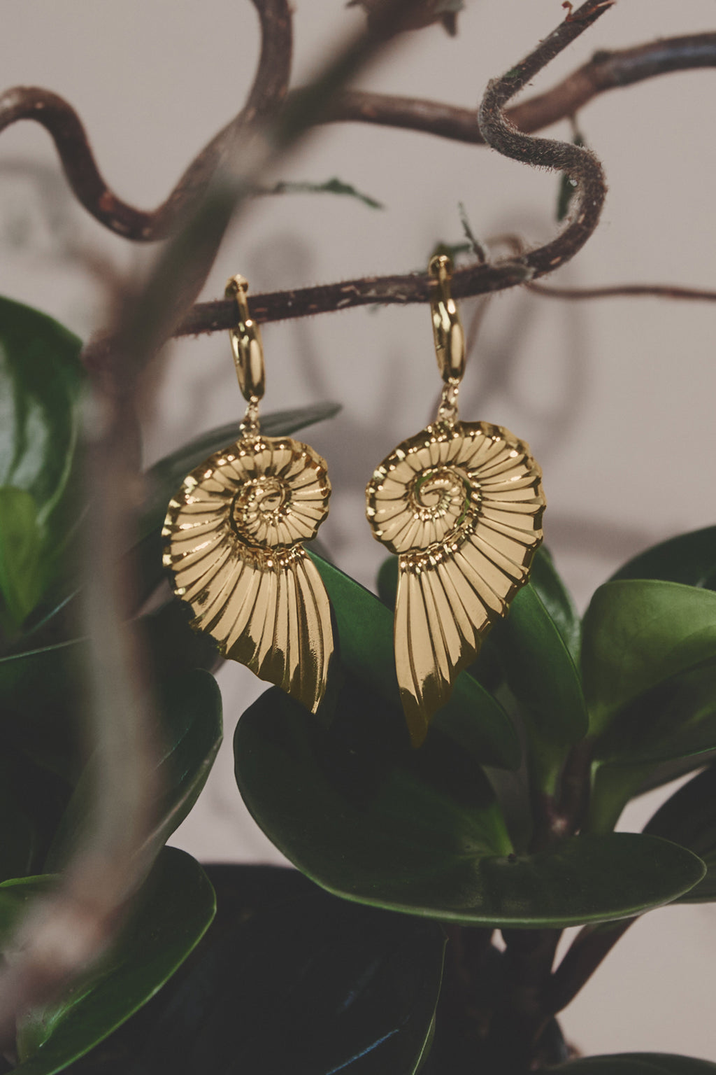 Small hoop earrings with large twist shell charm