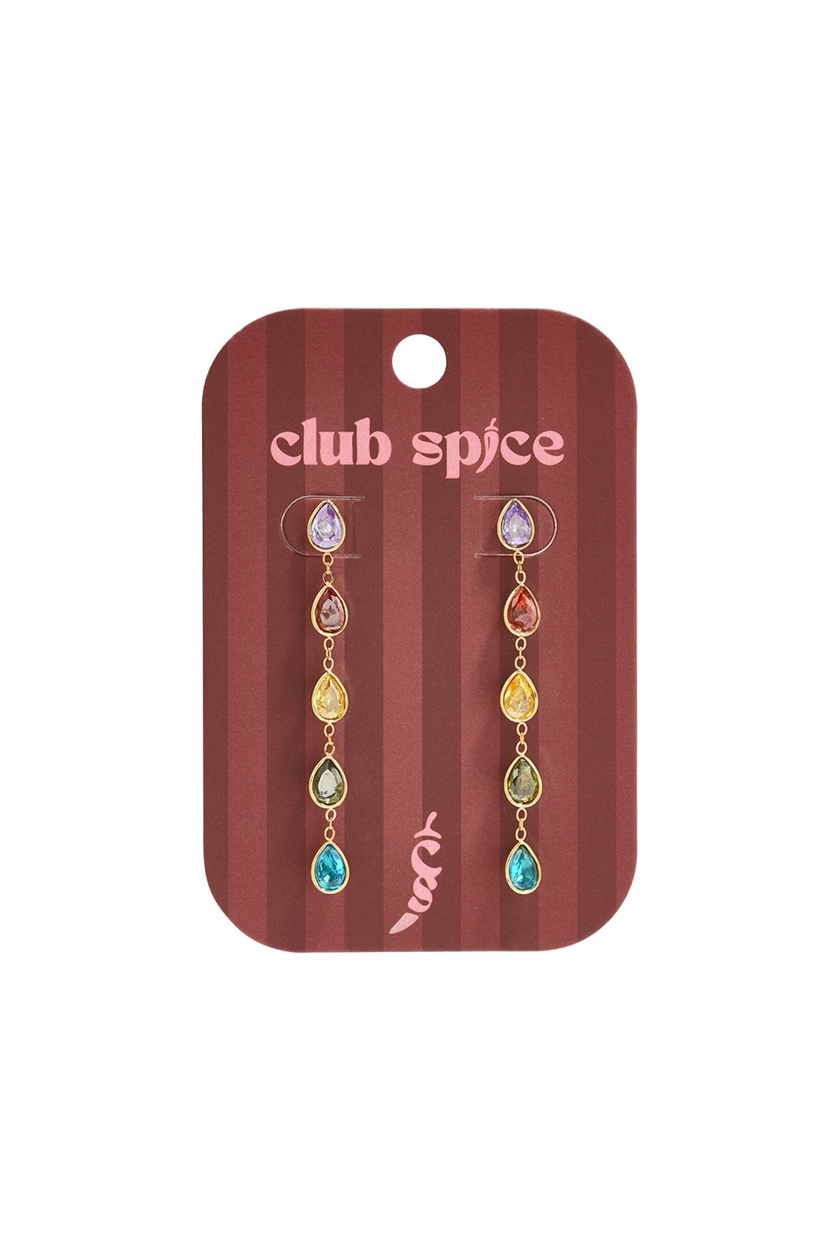 Stainless Steel Dangle Earrings Droplet Elegant Gathering/Party Luxurious Series Women's jewelry
