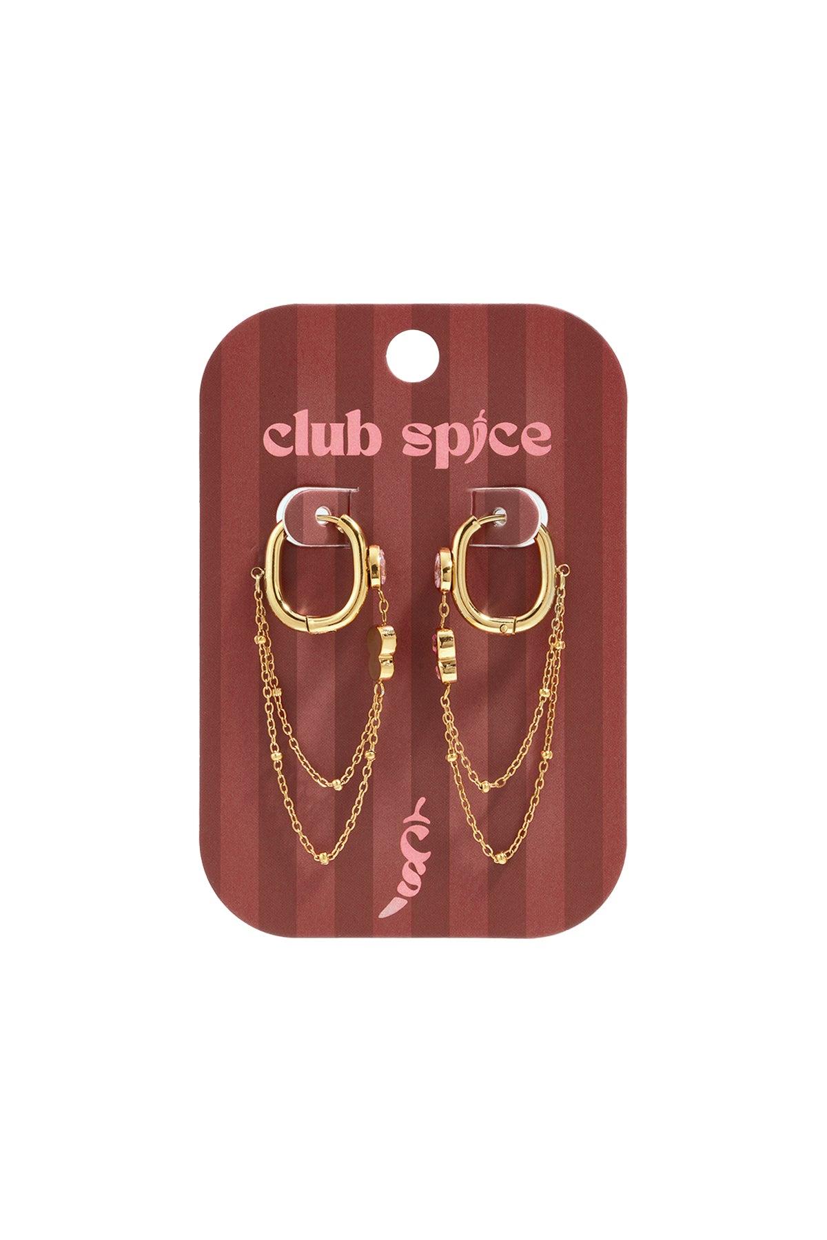 Stainless Steel Dangle Earrings Chain Simple Daily Simple Series Women's jewelry